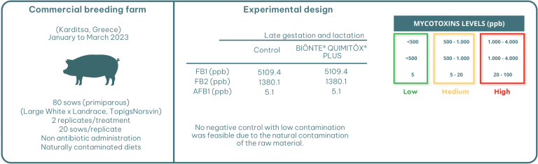 Figure 1. Experimental design of the two trials.